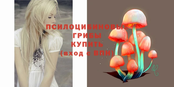 тгк Балахна