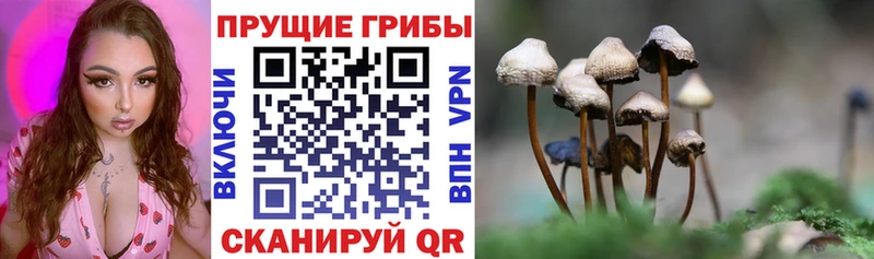Галлюциногенные грибы GOLDEN TEACHER  купить наркоту  blacksprut рабочий сайт  Харабали 